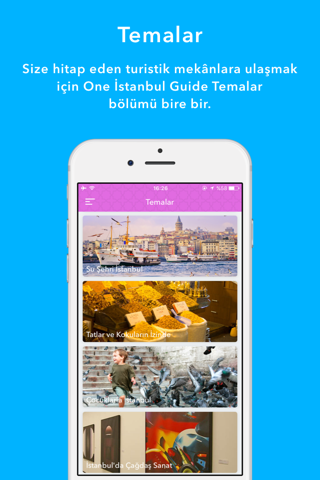 One Istanbul Guide screenshot 4