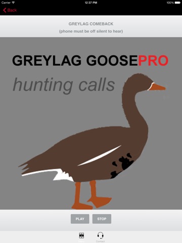REAL Greylag Goose Hunting Calls -- Greylag Goose CALLS & Greylag Goose Sounds! (ad free) BLUETOOTH COMPATIBLE screenshot 4