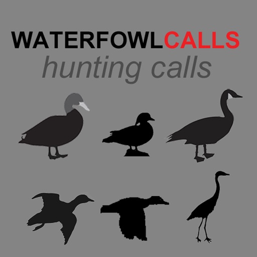 Waterfowl Hunting Calls - The Ultimate Waterfowl Hunting Calls App For Ducks, Geese & Sandhill Cranes - BLUETOOTH COMPATIBLE