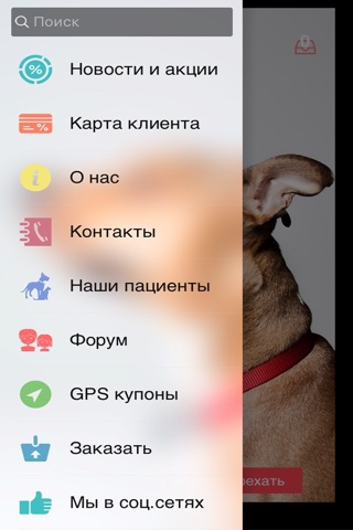 Ветеринарный Лазарет screenshot 2