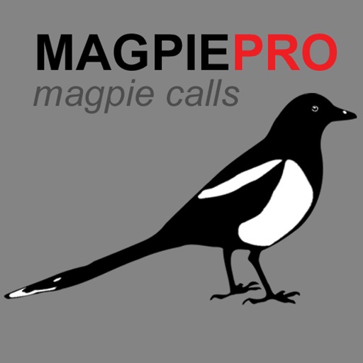 REAL Magpie Calls for Hunting + Magpie Sounds!+ (ad free) BLUETOOTH COMPATIBLE Icon