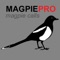 REAL Magpie Calls for Hunting + Magpie Sounds!+ (ad free) BLUETOOTH COMPATIBLE