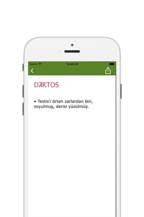 Flashcards - learn by writing