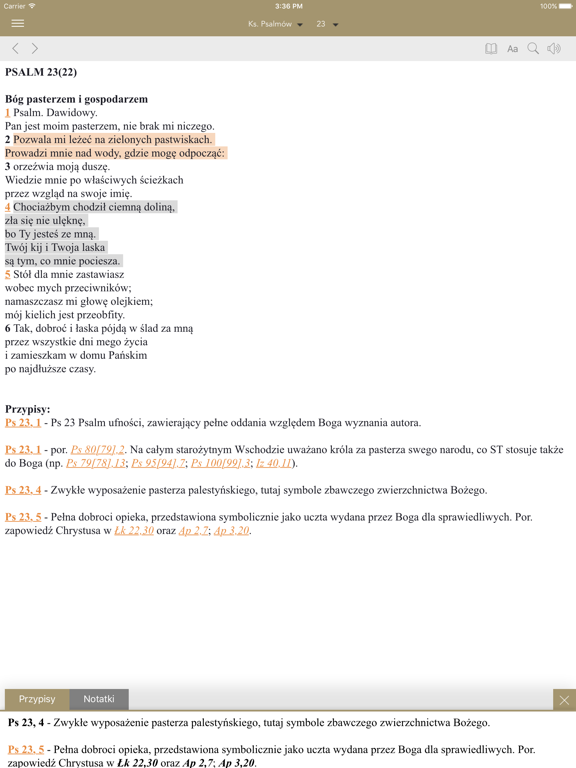 Pismo Święte iPad screenshot 4 - Reference app