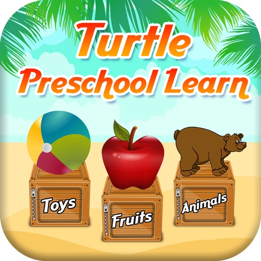 Turtle Preschool Learn Icon