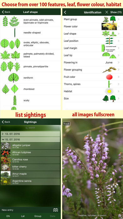 Tree Id Canada - identify over 1000 native Canadian species of Trees, Shrubs and Bushesのおすすめ画像5