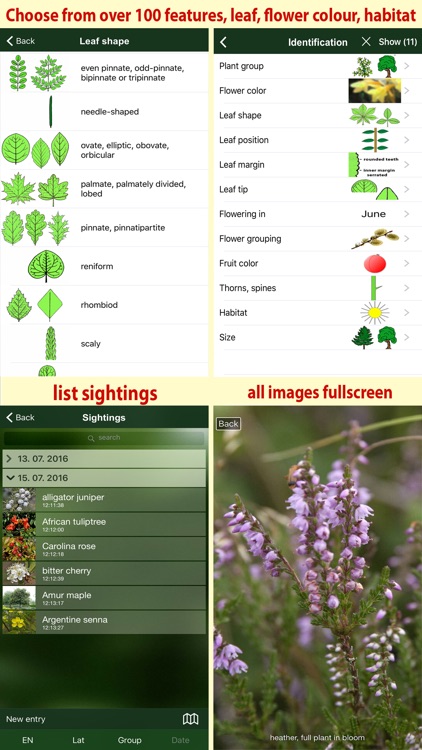 Tree Id Canada - identify over 1000 native Canadian species of Trees, Shrubs and Bushes screenshot-4