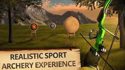 Archery Champion PRO (ADS FREE) 3D Bow Tournament Master, Sport Shooting Game Screenshot