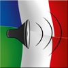 French / Italian Talking Phrasebook Translator Dictionary - Multiphrasebook - Danilo Cimino