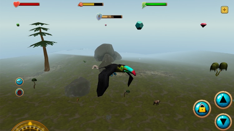 Toucan Simulator 3D