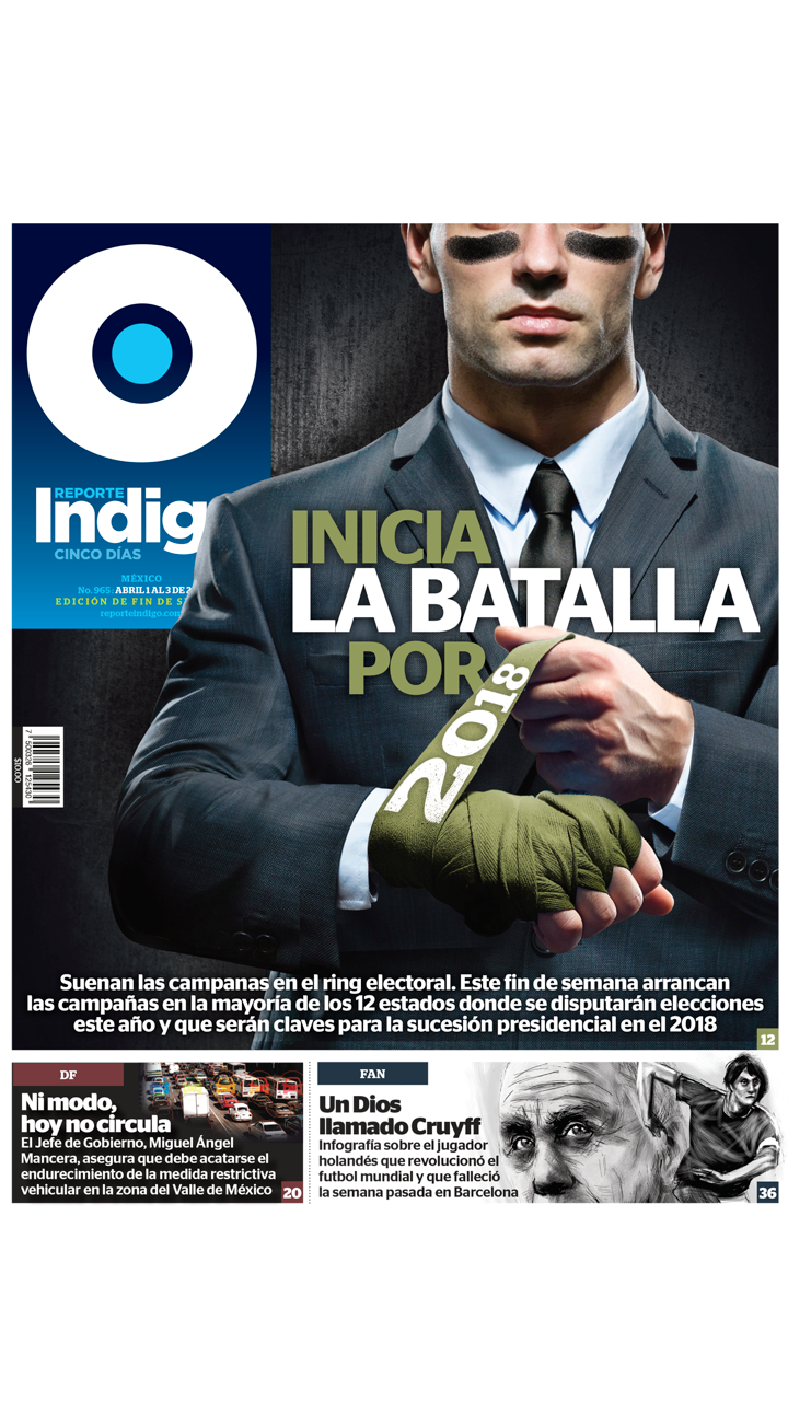 Reporte Indigo DF screenshot 5