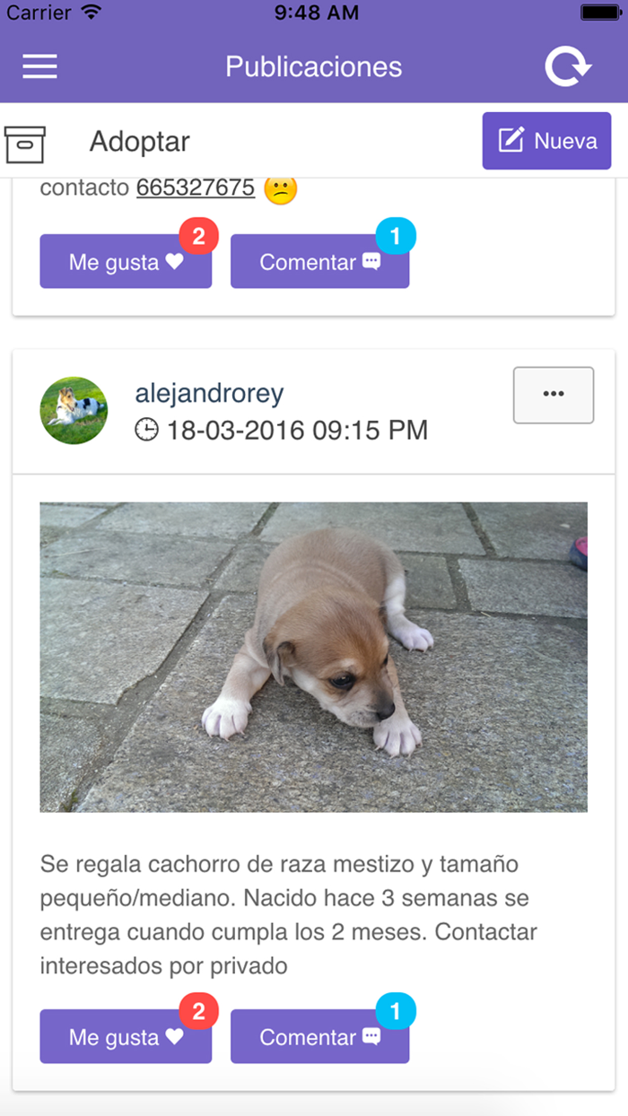 Petsbook.es