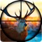 Sniper Deer Hunting Pro - Hunt Wild Jungle Animals in the Extreme Winter