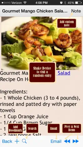 Game screenshot HCG Diet Recipes Plus+ hack