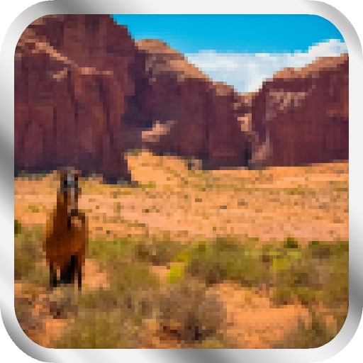 Pro Game - Westerado: Double Barreled Version iOS App