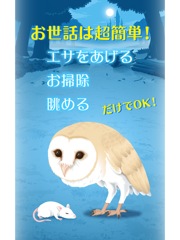 Screenshot #5 pour リアルなフクロウ育成ゲーム〜不思議なフクロウ〜