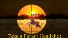 african deer hunting 2016:animal hunting challenge iphone screenshot 3