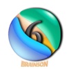 Brainson - Brain memory game