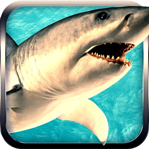 Ultimate Shark Simulator Sharks Games