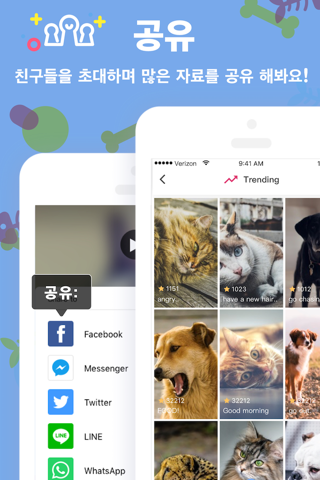 Pamily - Video Community for Pet lovers screenshot 4
