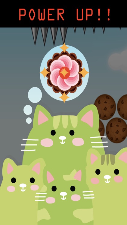 Flying Cat Cookie Paradise