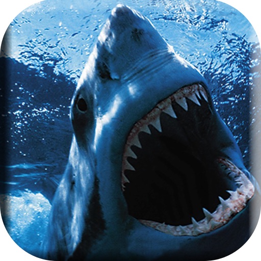 Underwater Hungry Shark Attack icon