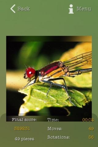 Insects Best Puzzles screenshot 4