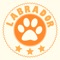 This is an app customized for dog lovers and owners