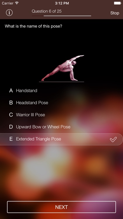 Sanskrit-Yoga screenshot-4