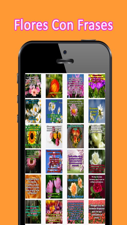 Flores Con Frases
