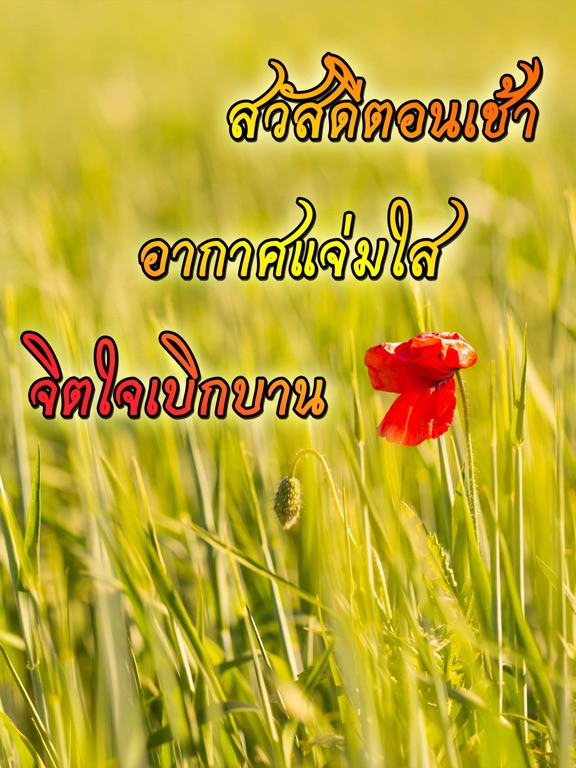 Screenshot #5 pour คำคมสวัสดี สวัสดีตอนเช้าฟรีตามวัน