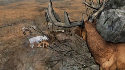 Screenshot #3 pour Life Of Deer