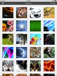 Wallpapers Collection Premium ipad bilder 1