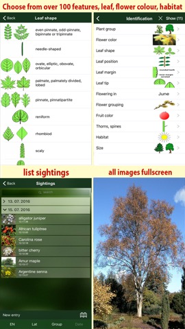 Tree Id USA - identify over 1000 of America's native species of Trees, Shrubs and Bushesのおすすめ画像5