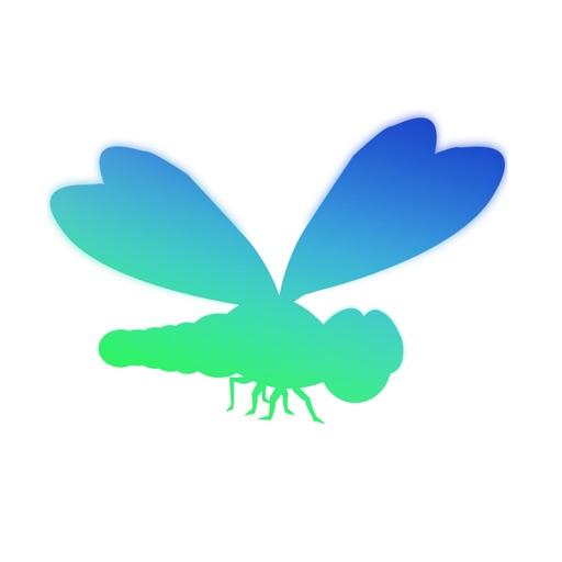 Color Wings Icon