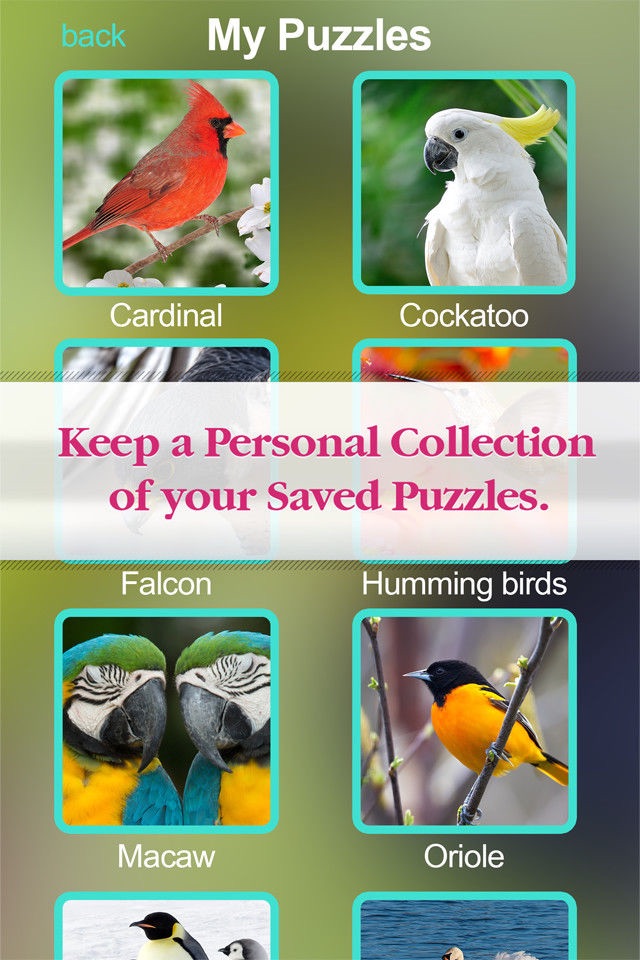 Puzzles Amazing Jigsaw Birds Collection Pro screenshot 3