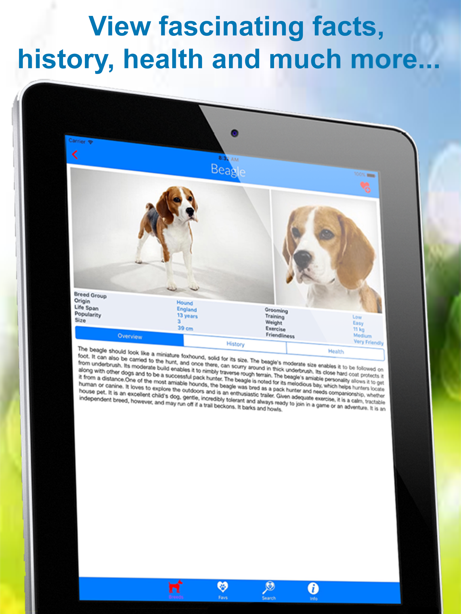 Dog Breeds A to Z screenshot 7