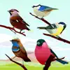 Similar Bird Sounds! Apps