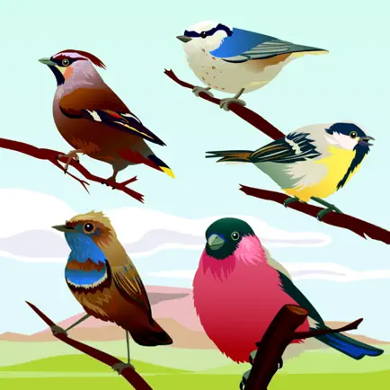 Bird Sounds! Cheats