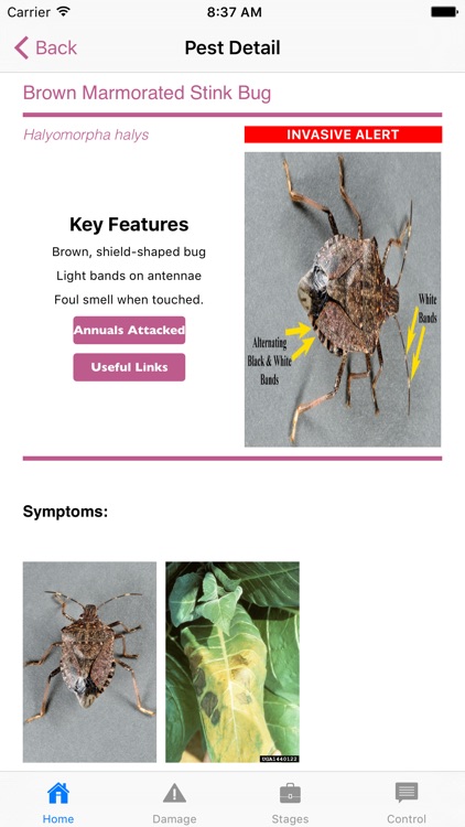 Purdue Annual Doctor screenshot-4