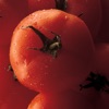 Tomato MD icon