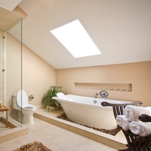 10,000+ Bathroom Design Ideas Pro download