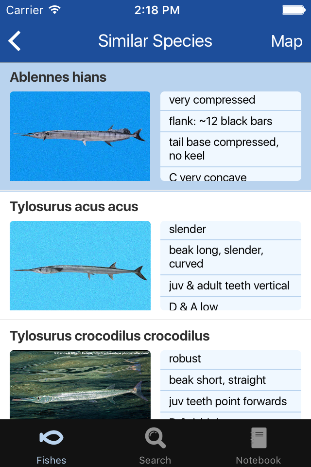 Fishes Greater Caribbean