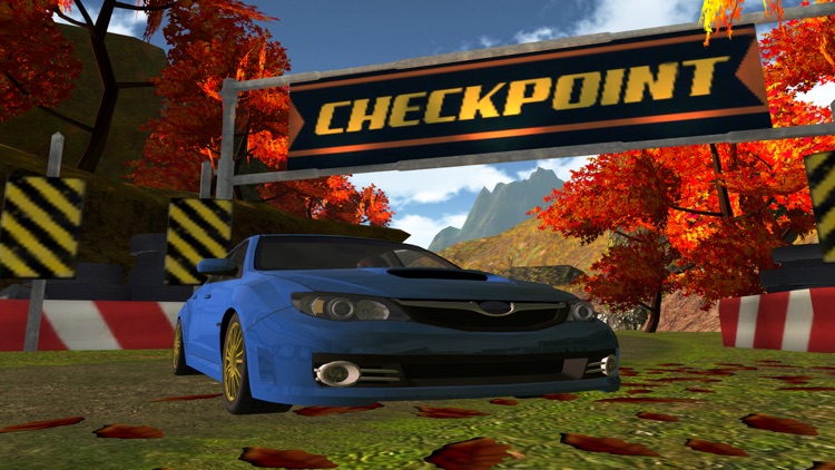 3D Mountain Rally Racing - eXtreme Real Dirt Road Driving Simulator Game PRO