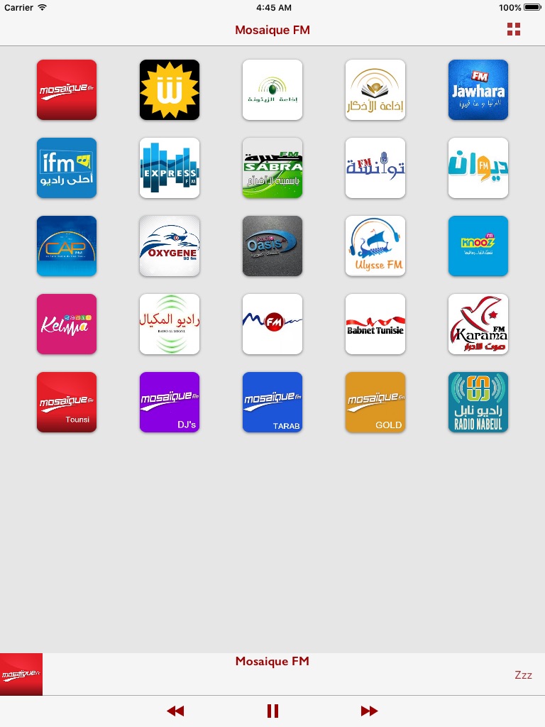 iPad screenshot