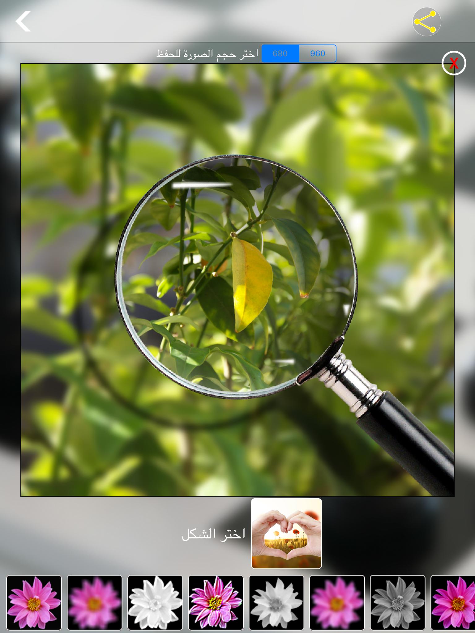 . برنامج دمج الصور
