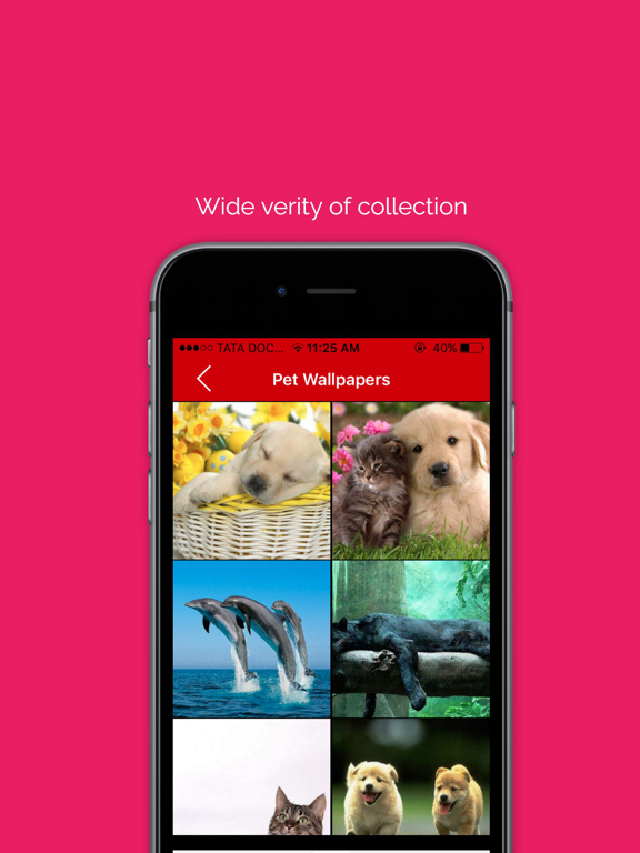 Screenshot #5 pour Pet wallpaper pictures : Background of flowers, cats and dogs for your mobile lock screen