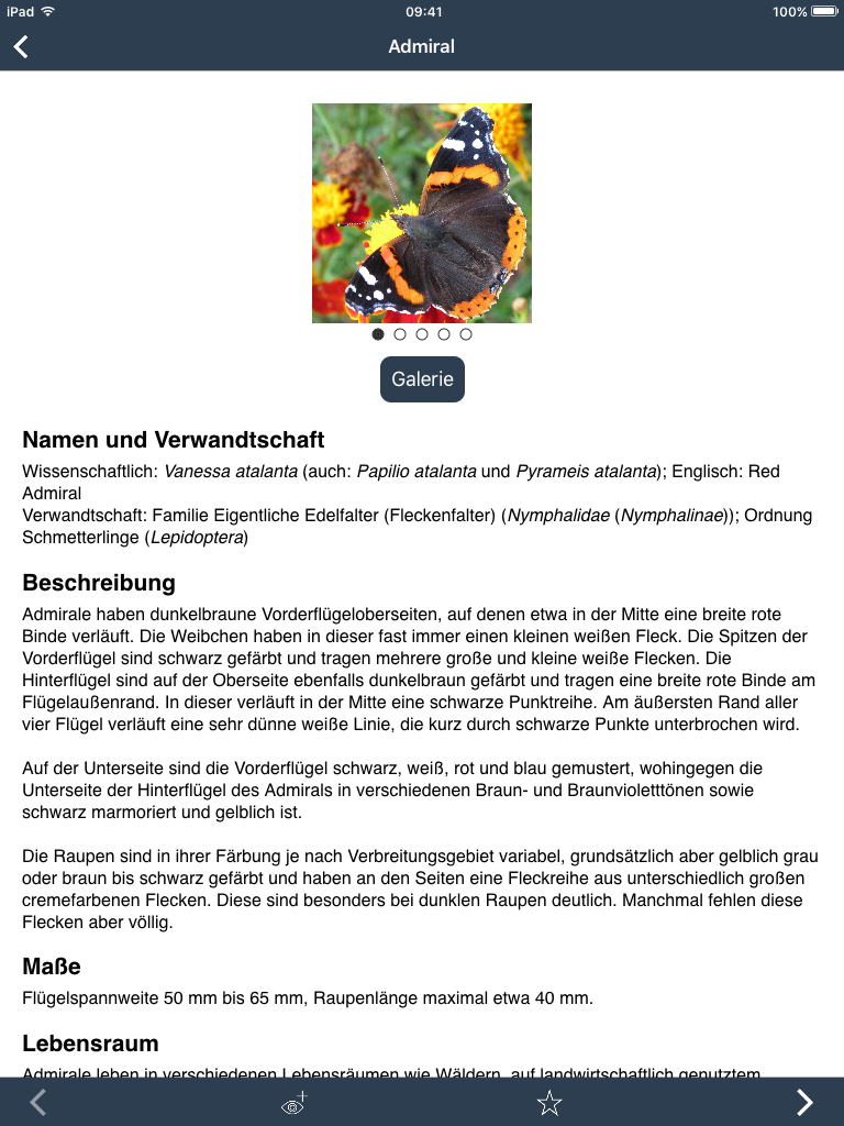 Naturbeobachten in Wien