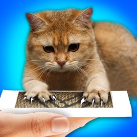 Snímky obrazovky (3) Claw Sharpener Cat Prank