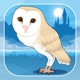 Owl Simulation Game app icon - Games app for iPhone